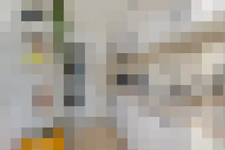 Planetenlaan 26 II Haarlem thumbnail 7