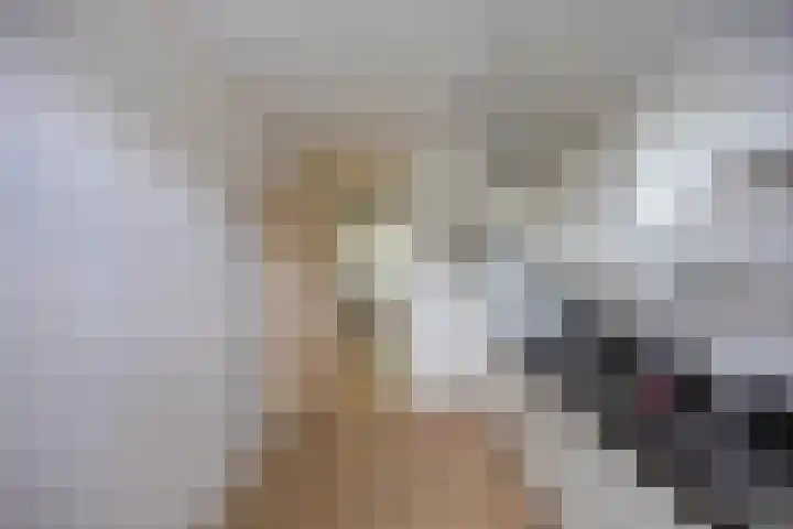 Planetenlaan 262 Groningen thumbnail 12