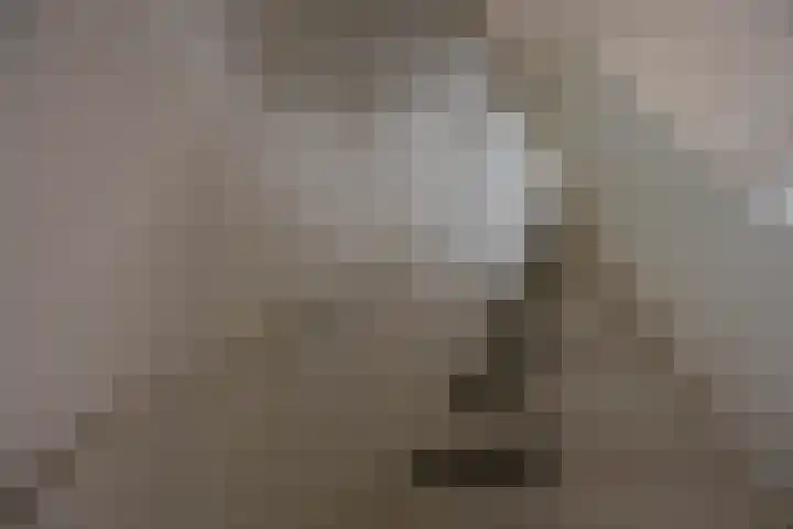 Planetenlaan 262 Groningen thumbnail 17