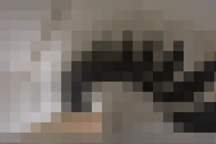 Planetenlaan 262 Groningen thumbnail 28