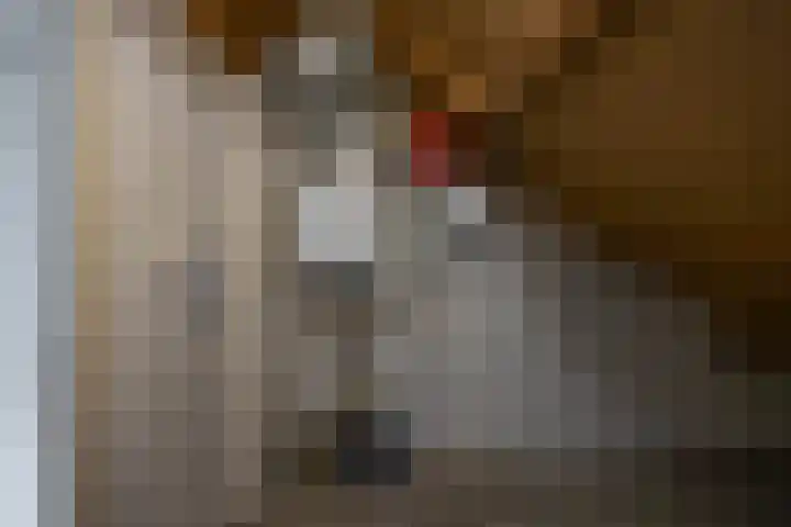 Planetenlaan 262 Groningen thumbnail 29