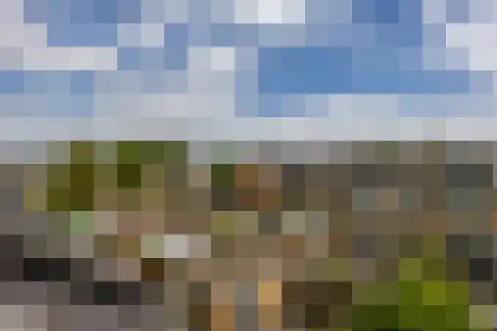 Planetenlaan 262 Groningen thumbnail 36