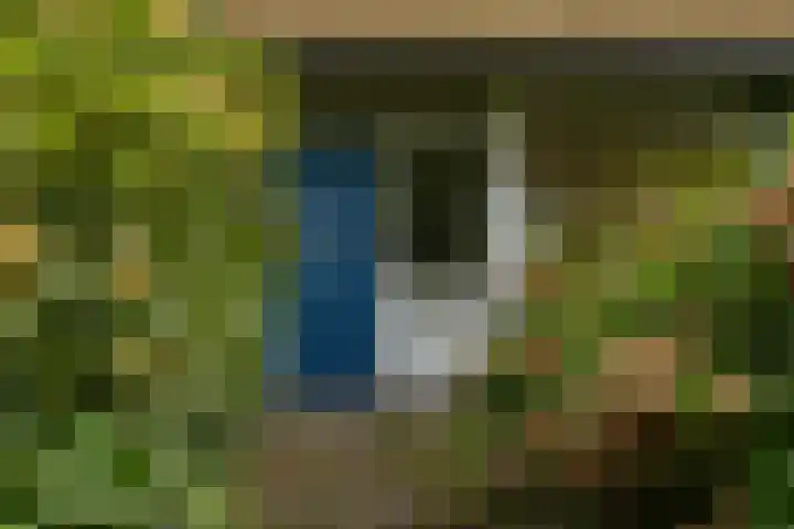 Planetenlaan 262 Groningen thumbnail 4