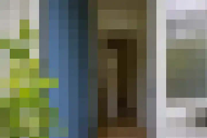 Planetenlaan 262 Groningen thumbnail 5