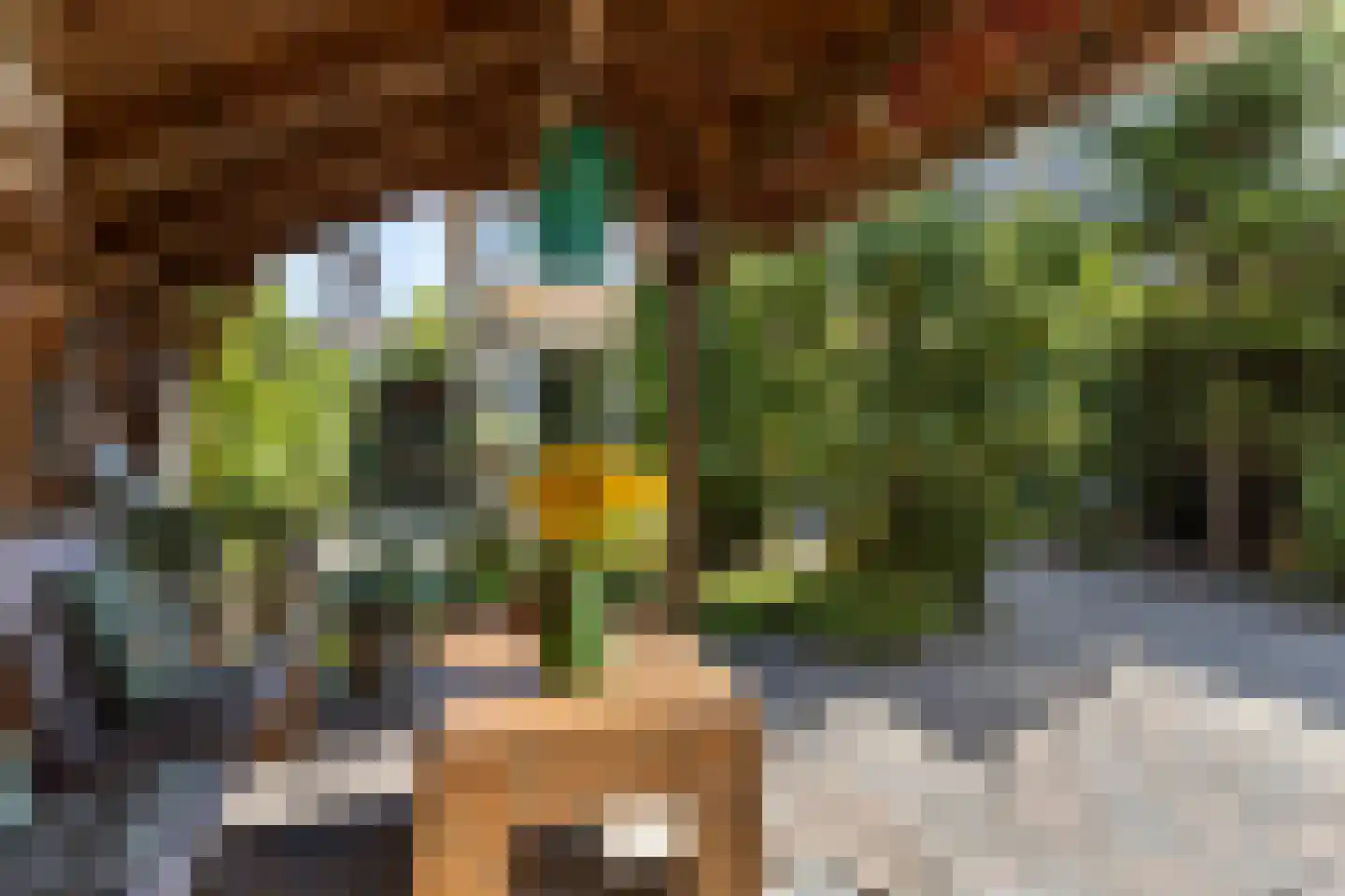 Planetenlaan 27 Heerhugowaard thumbnail 33