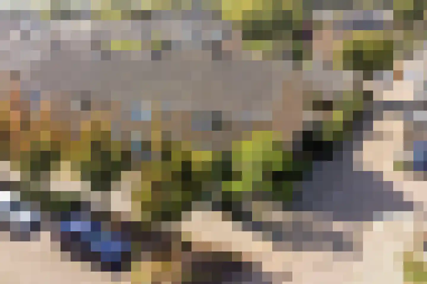Planetenlaan 27 Heerhugowaard thumbnail 41