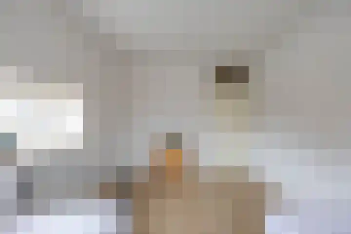 Planetenlaan 29 Groningen thumbnail 27