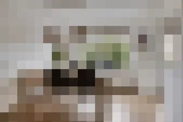 Planetenlaan 3 Assen thumbnail 15