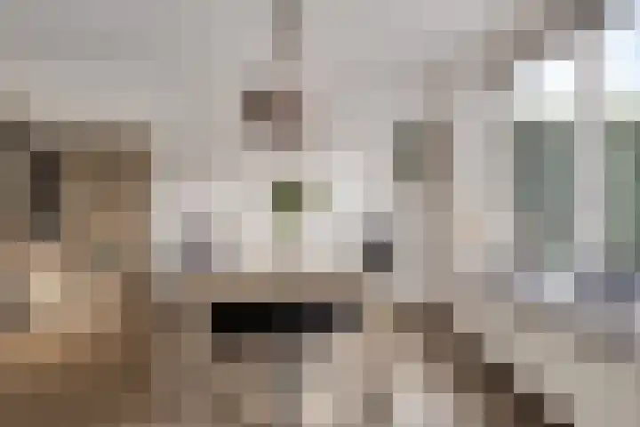 Planetenlaan 3 Assen thumbnail 16
