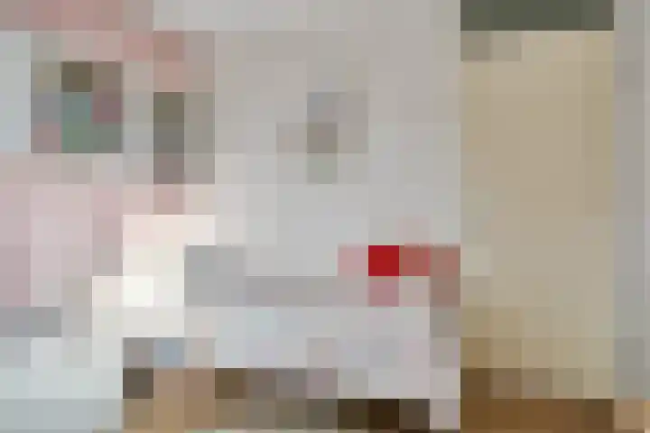 Planetenlaan 3 Assen thumbnail 33