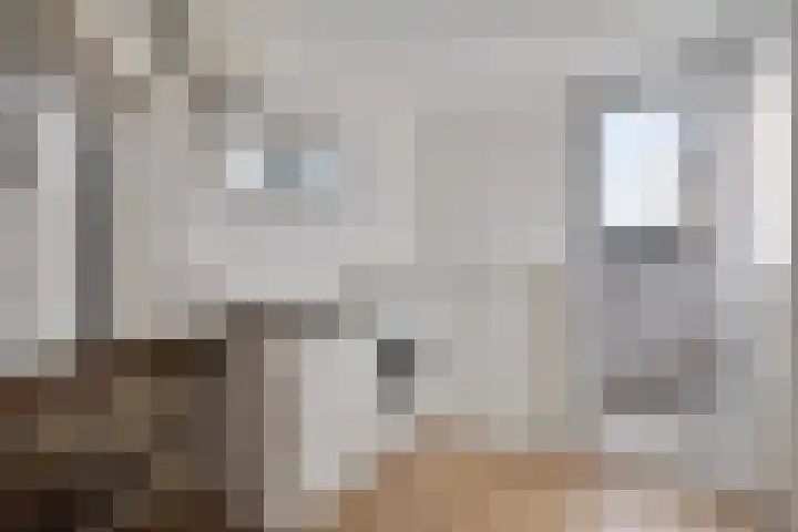 Planetenlaan 3 Assen thumbnail 36