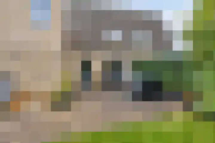 Planetenlaan 3 Assen thumbnail 47