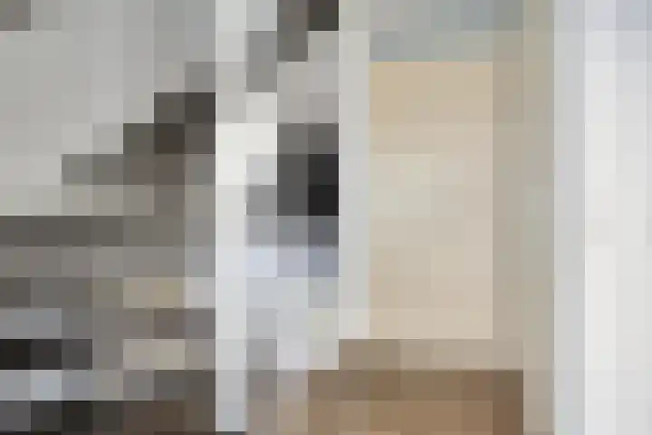 Planetenlaan 3 Assen thumbnail 9