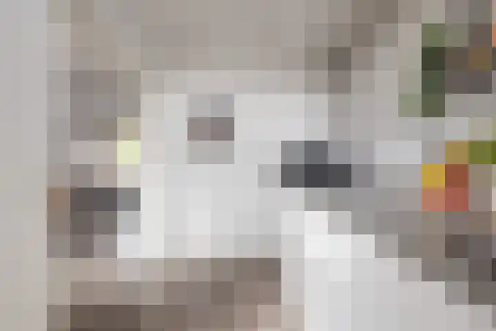 Planetenlaan 3 Veldhoven thumbnail 20