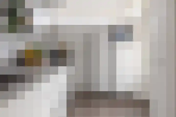 Planetenlaan 3 Veldhoven thumbnail 24