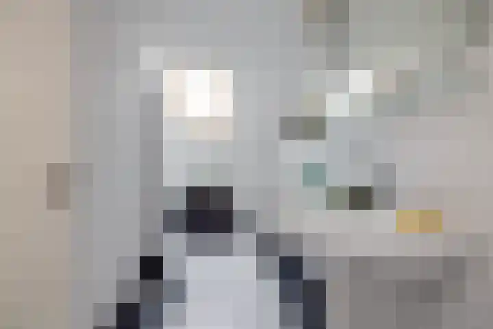 Planetenlaan 3 Veldhoven thumbnail 41