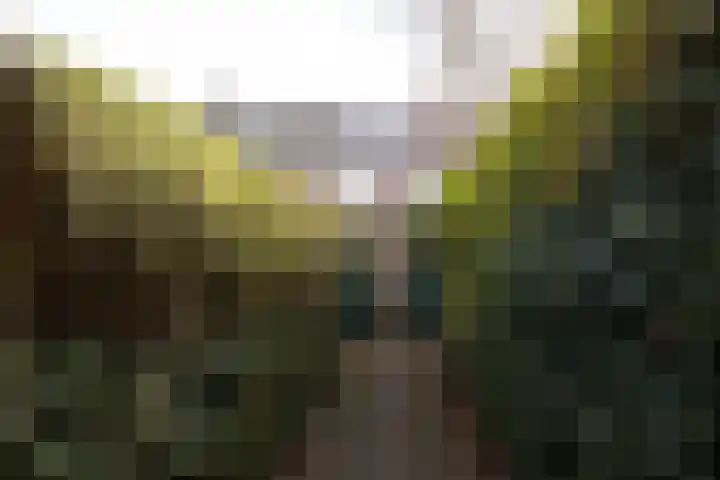 Planetenlaan 30 I Haarlem thumbnail 27