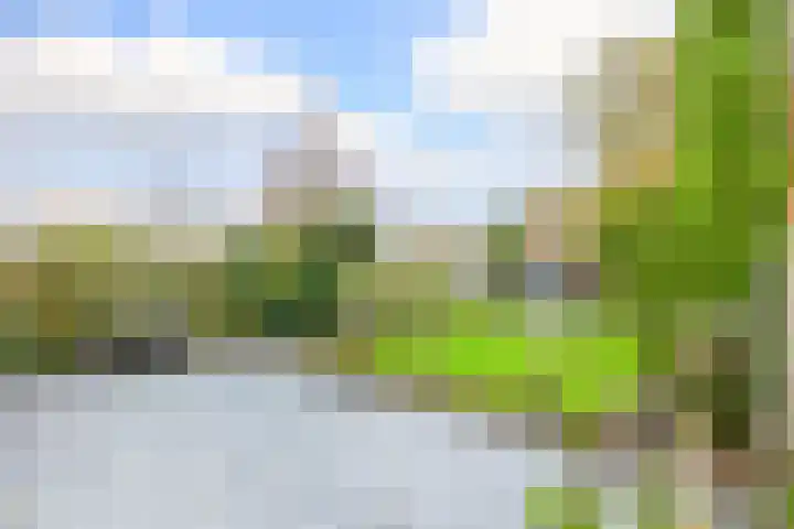 Planetenlaan 32 Schijndel thumbnail 23