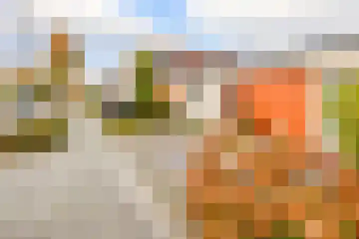 Planetenlaan 32 Schijndel thumbnail 26