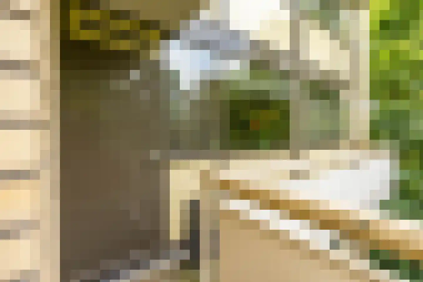 Planetenlaan 321 Groningen thumbnail 17
