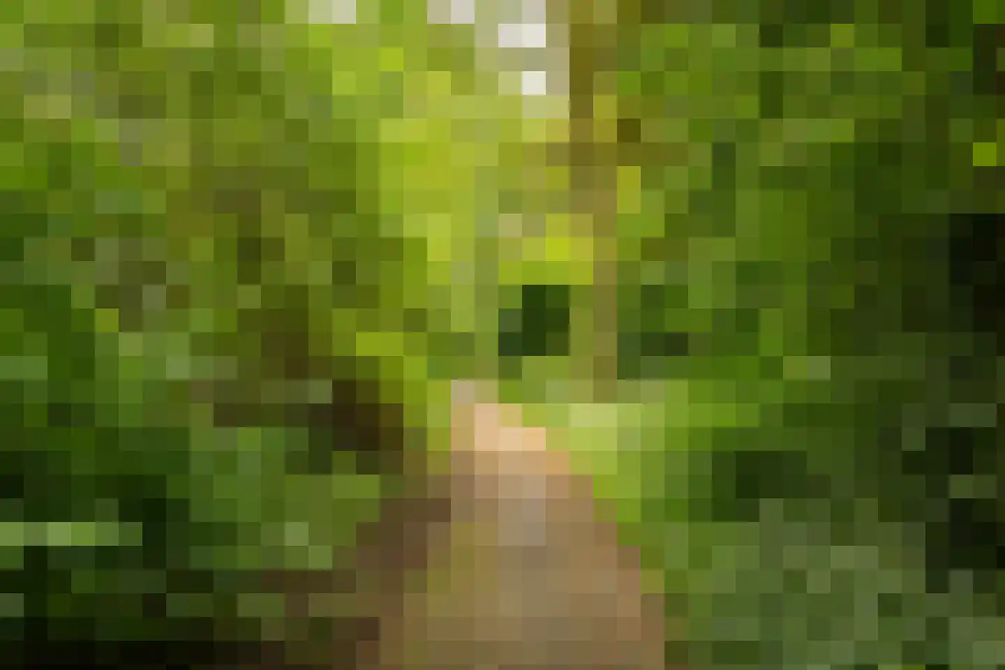Planetenlaan 321 Groningen thumbnail 34