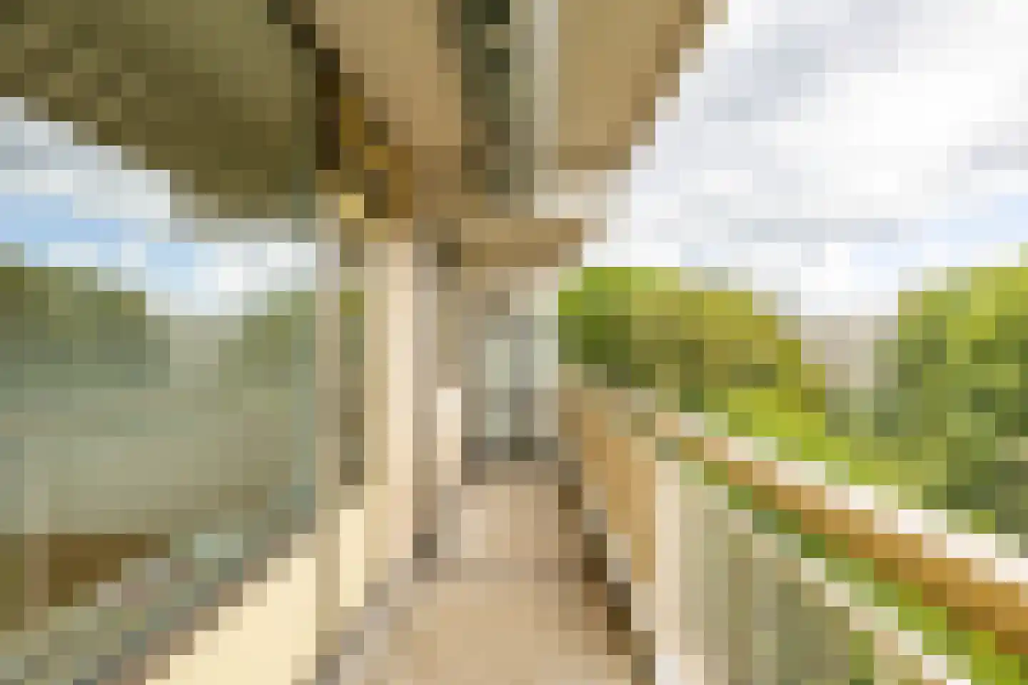 Planetenlaan 335 Groningen thumbnail 4