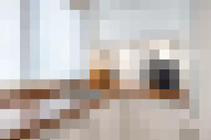 Planetenlaan 34 Assen thumbnail 25
