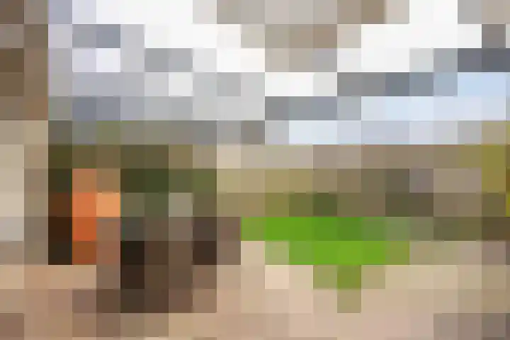 Planetenlaan 34 Assen thumbnail 44