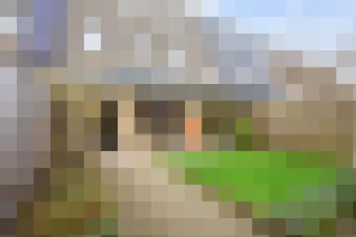 Planetenlaan 34 Assen thumbnail 47