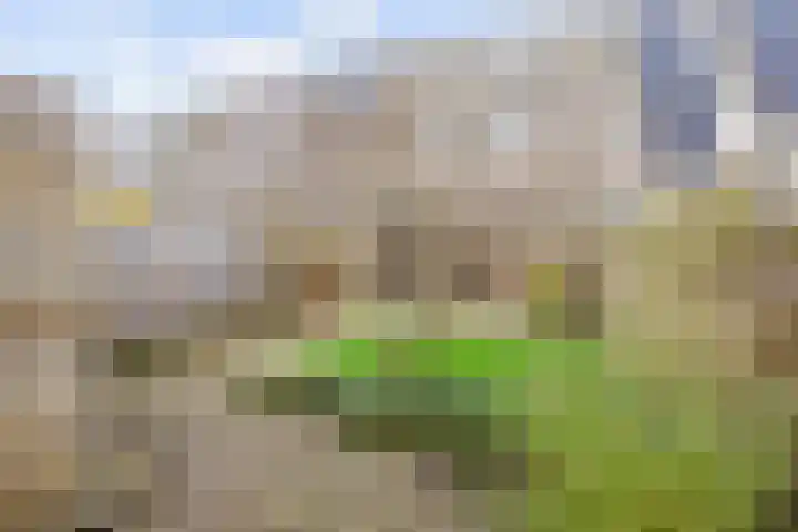 Planetenlaan 34 Assen thumbnail 49