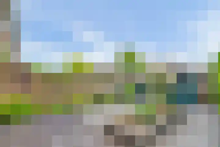 Planetenlaan 36 Nieuw-Lekkerland thumbnail 24