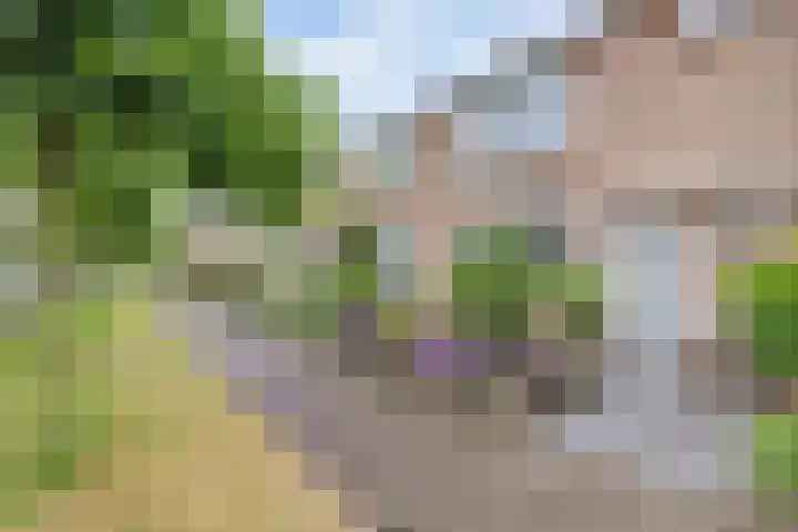 Planetenlaan 36 Nieuw-Lekkerland thumbnail 32