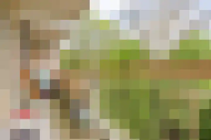 Planetenlaan 363 Groningen thumbnail 22