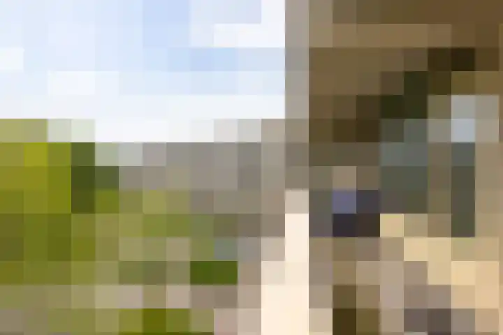 Planetenlaan 363 Groningen thumbnail 23