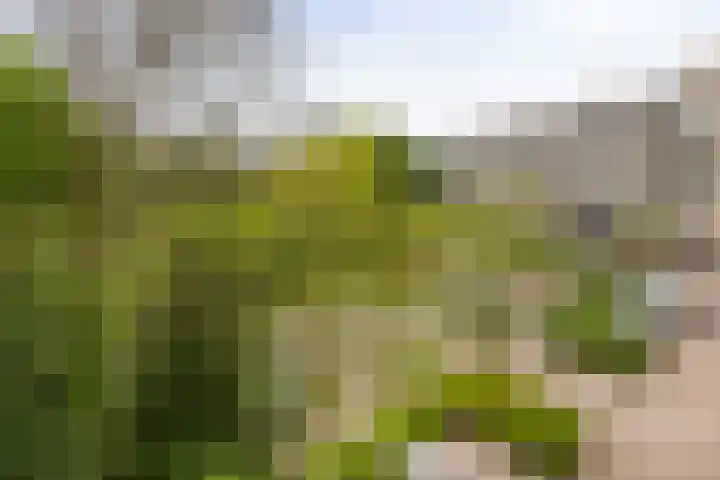 Planetenlaan 363 Groningen thumbnail 24