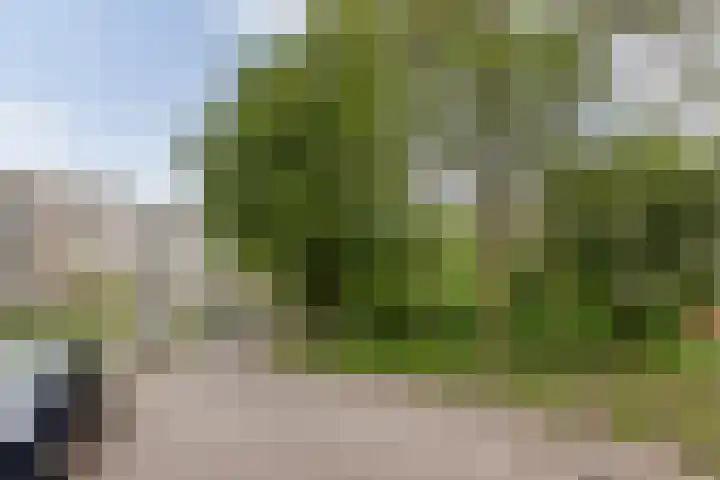 Planetenlaan 363 Groningen thumbnail 26