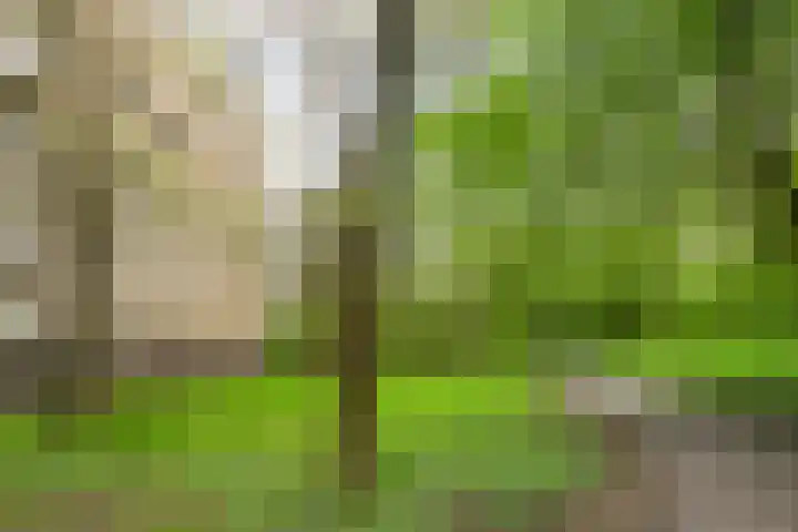 Planetenlaan 363 Groningen thumbnail 27