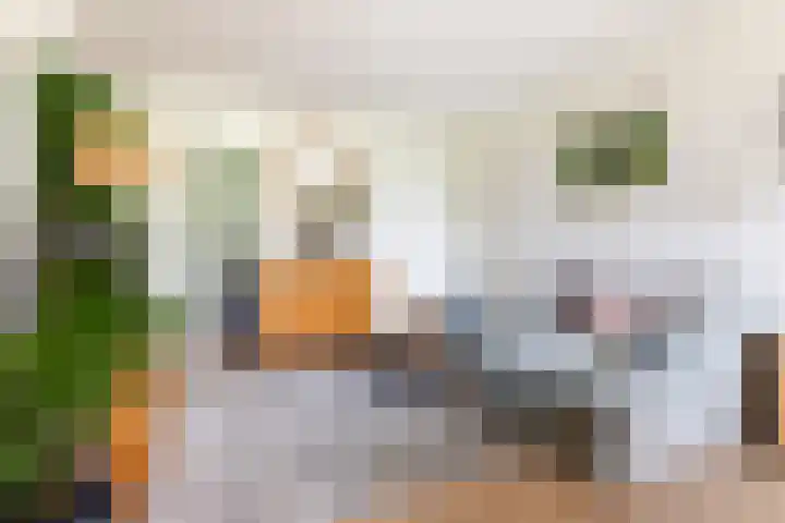 Planetenlaan 363 Groningen thumbnail 9