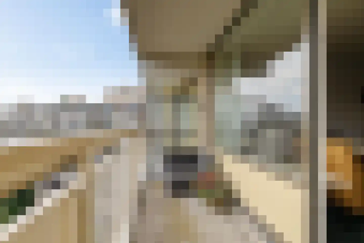 Planetenlaan 367 Groningen thumbnail 15