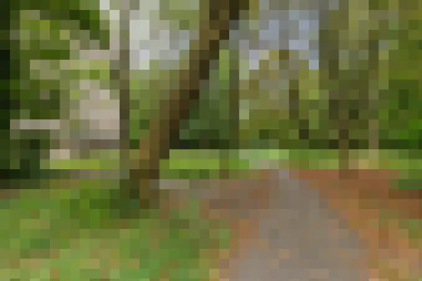 Planetenlaan 367 Groningen thumbnail 30