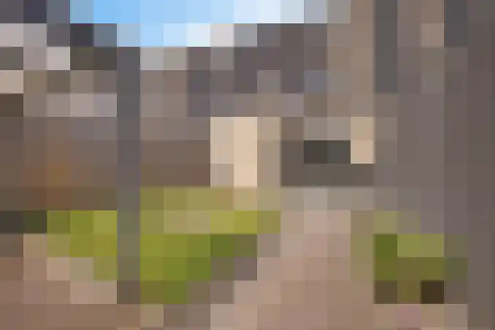 Planetenlaan 38 Assen thumbnail 24