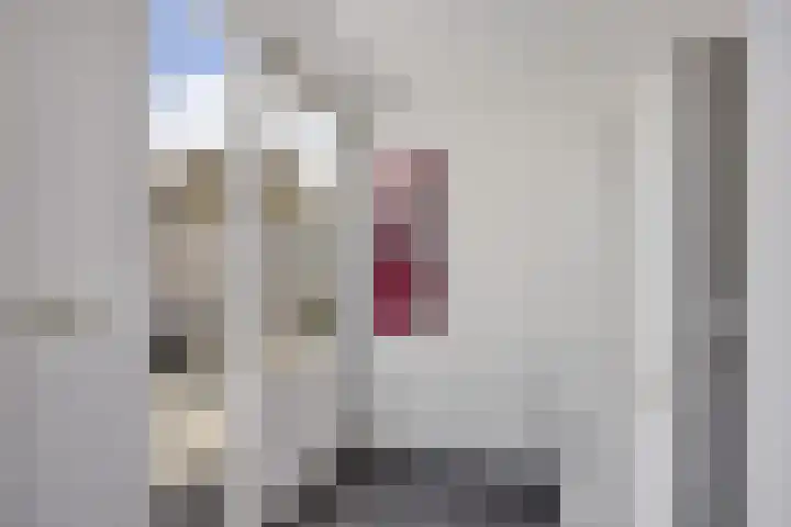 Planetenlaan 38 Assen thumbnail 9