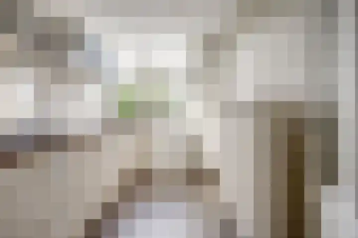Planetenlaan 38 Nieuw-Lekkerland thumbnail 11