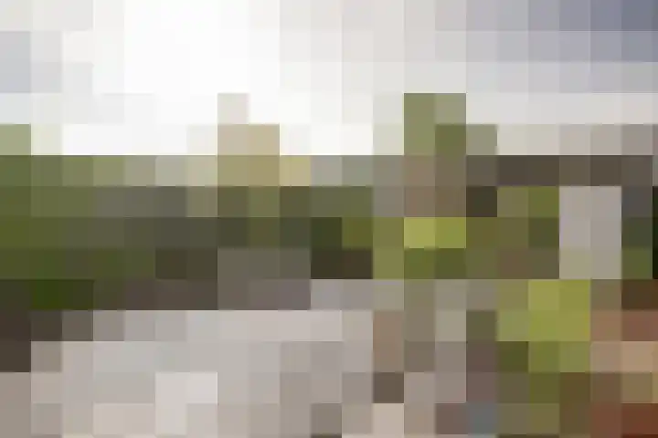 Planetenlaan 38 Nieuw-Lekkerland thumbnail 31