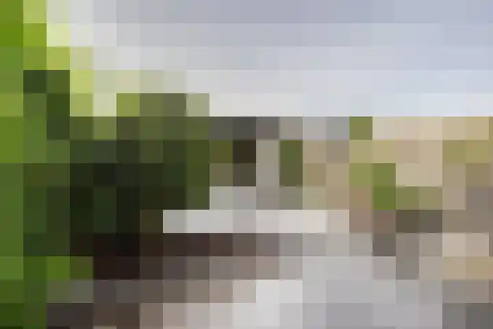 Planetenlaan 38 Nieuw-Lekkerland thumbnail 32