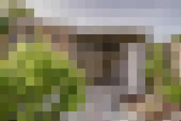 Planetenlaan 38 Nieuw-Lekkerland thumbnail 33
