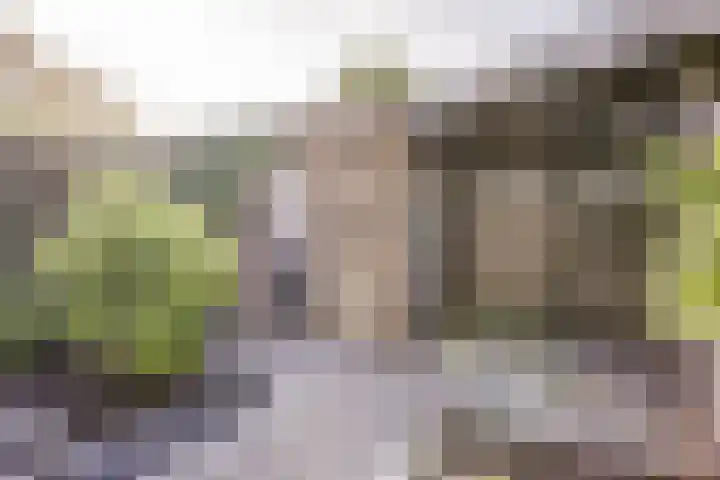 Planetenlaan 38 Nieuw-Lekkerland thumbnail 34