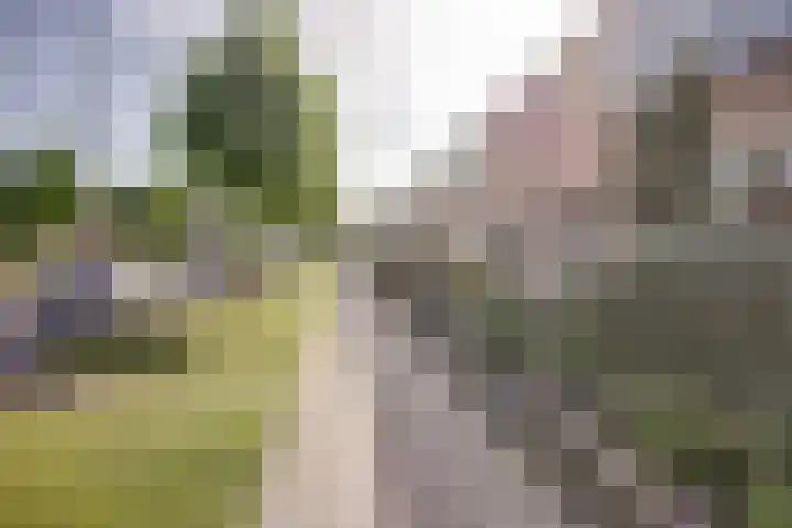 Planetenlaan 38 Nieuw-Lekkerland thumbnail 36