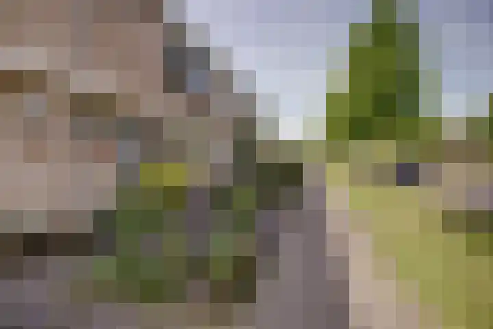 Planetenlaan 38 Nieuw-Lekkerland thumbnail 37