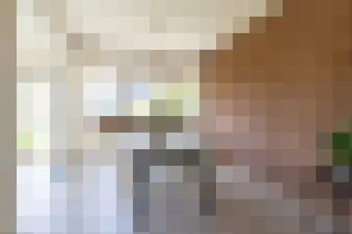 Planetenlaan 39 Maartensdijk thumbnail 17